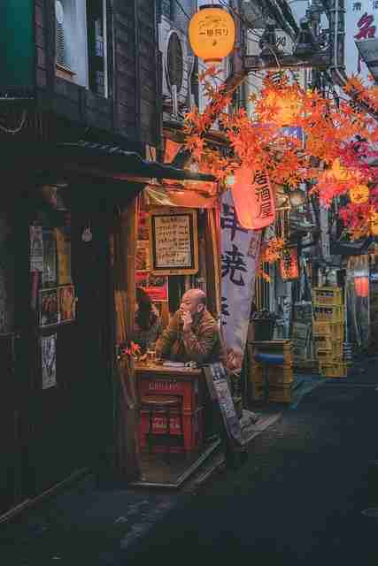 零基础·P站深度测评:口碑秘籍